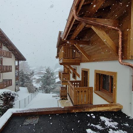 Appartement Familial Neuf Pres Du Village, 3 Chambres, Balcon Sud, Parking, Proche Ski-Bus, Samoens - Fr-1-642-80 Exterior foto
